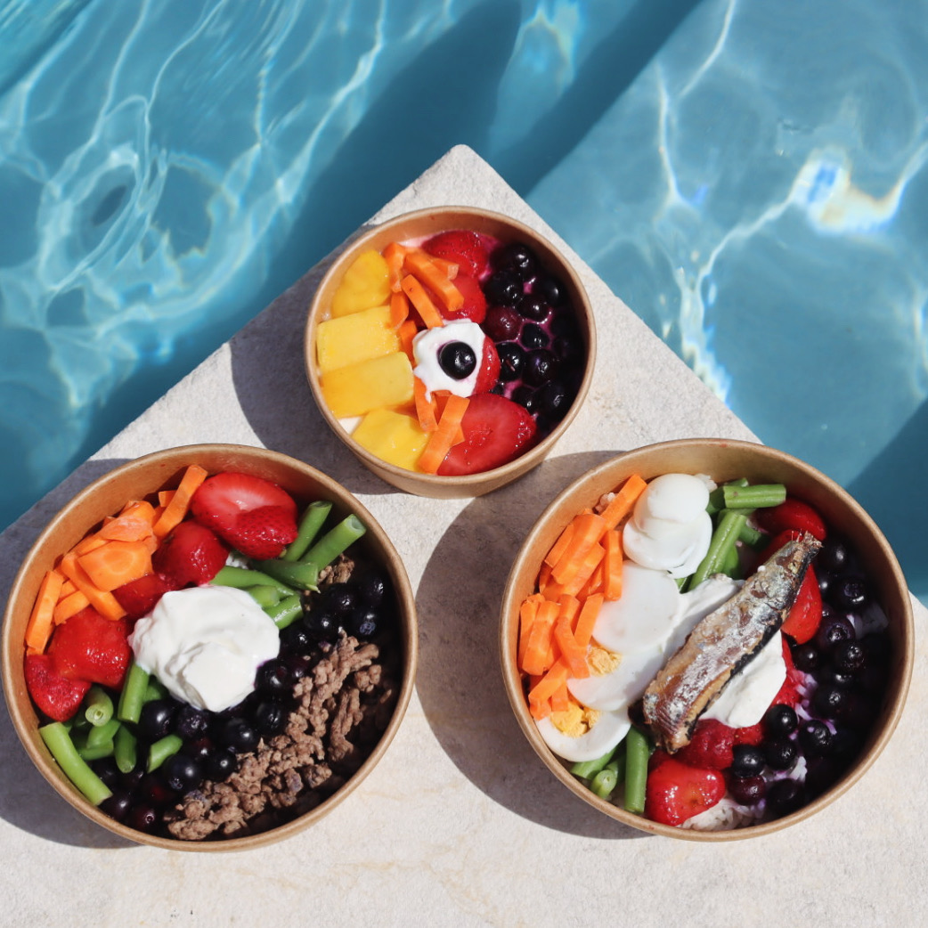 Waggy bowls food by the pool